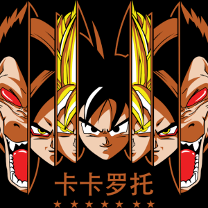 Alternative view of Dragon Ball Z 24