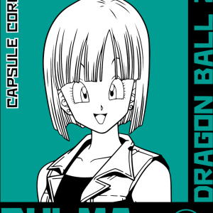 Alternative view of Dragon Ball Z 28