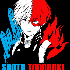 Alternative view of My Hero Academia 30