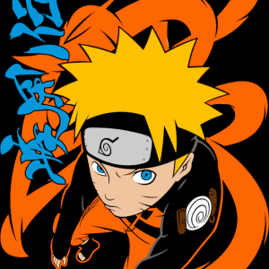 Alternative view of Naruto 13