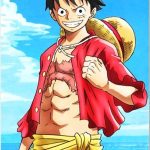 Alternative view of One Piece 29