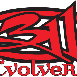 Alternative view of 311 Evolver