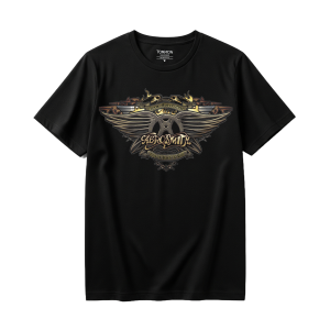Aerosmith Aero Force One Image