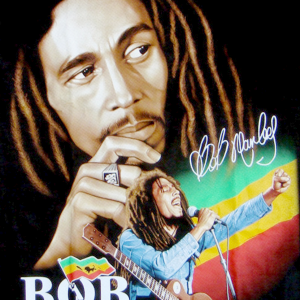 Alternative view of Bob Marley 1