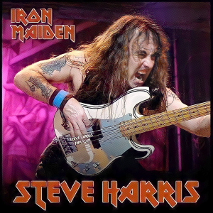 Alternative view of Iron Maiden Steve Harris