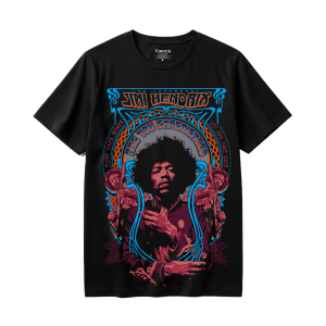 Jimi Hendrix Are You Experienced