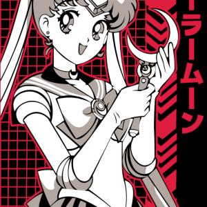 Alternative view of Sailor Moon 17