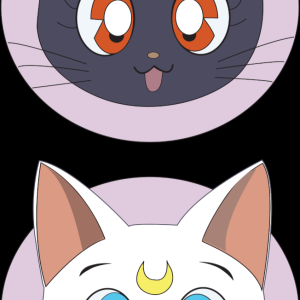 Alternative view of Sailor Moon 2
