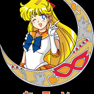 Alternative view of Sailor Moon 20