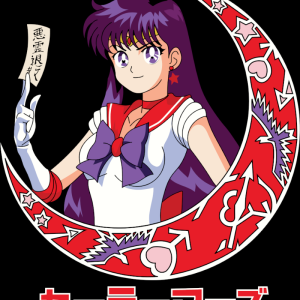 Alternative view of Sailor Moon 21