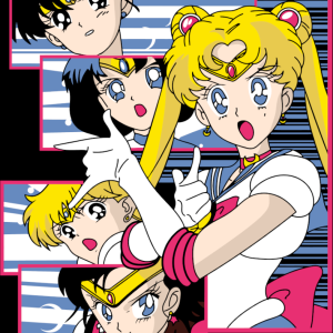 Alternative view of Sailor Moon 23