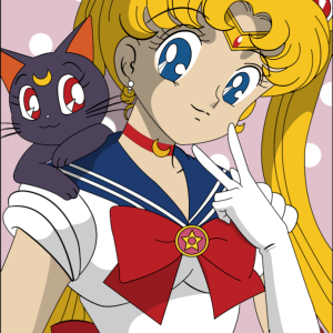 Alternative view of Sailor Moon 25