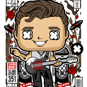 Alternative view of Shawn Mendes