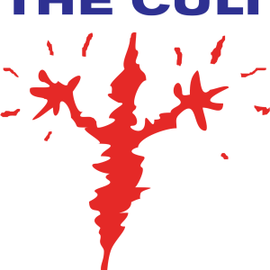 Alternative view of The Cult