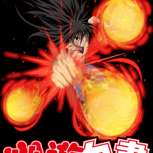 Alternative view of Yu Yu Hakusho 8